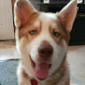 Meet your Posher, Kirby